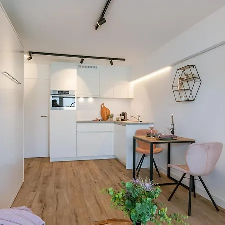 Comfortable Studio In The Center Of Apartament *